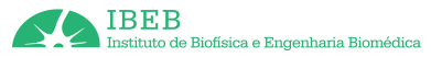 IBEB – Instituto de Biofísica e Engenharia Biomédica